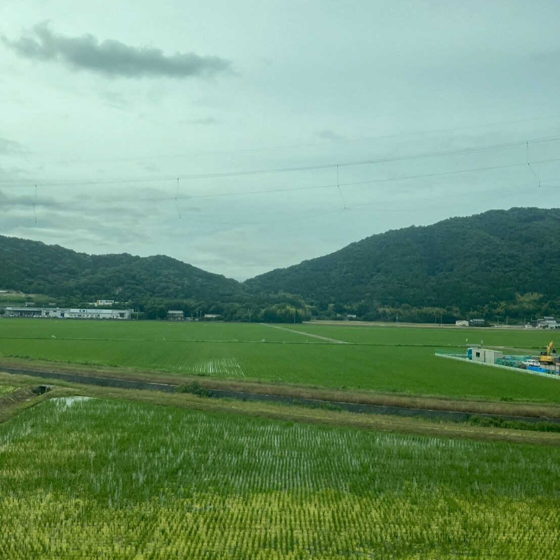 今年も折り返し地点が近づいています